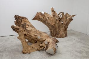 Ivan Barlafante, La bellezza dell'inutile, 2016, legno e acciaio