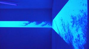 Black Light Selva, Eric Winarto