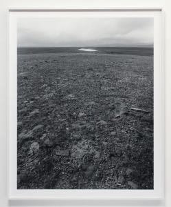 Kekexili, day 3, 2012-2016