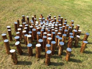 Ivan Barlafante, Ogni cosa è al suo posto, 2017, legno e acciaio