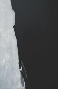 Wormhole, 2013, 180x240