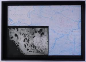 Walks Retracing A Snowleopard 1, 2016