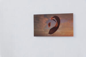 L’Era dei Giganti. Somnium., 2023, Diasec print, Ed. 3 + 2AP, 30 cm x 45 cm.
