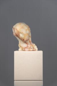 D751298