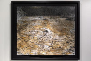 Michael Höpfner, Along Mud River Tomorrit III, 2022, pastels on silver gelatine prints artist prints, 50 x 60 cm
