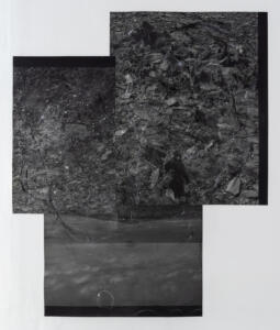 Michael Höpfner, Walk and bow to the earth II – retracing my own steps, 2022, silver gelatine prints, 239 x 202 cm